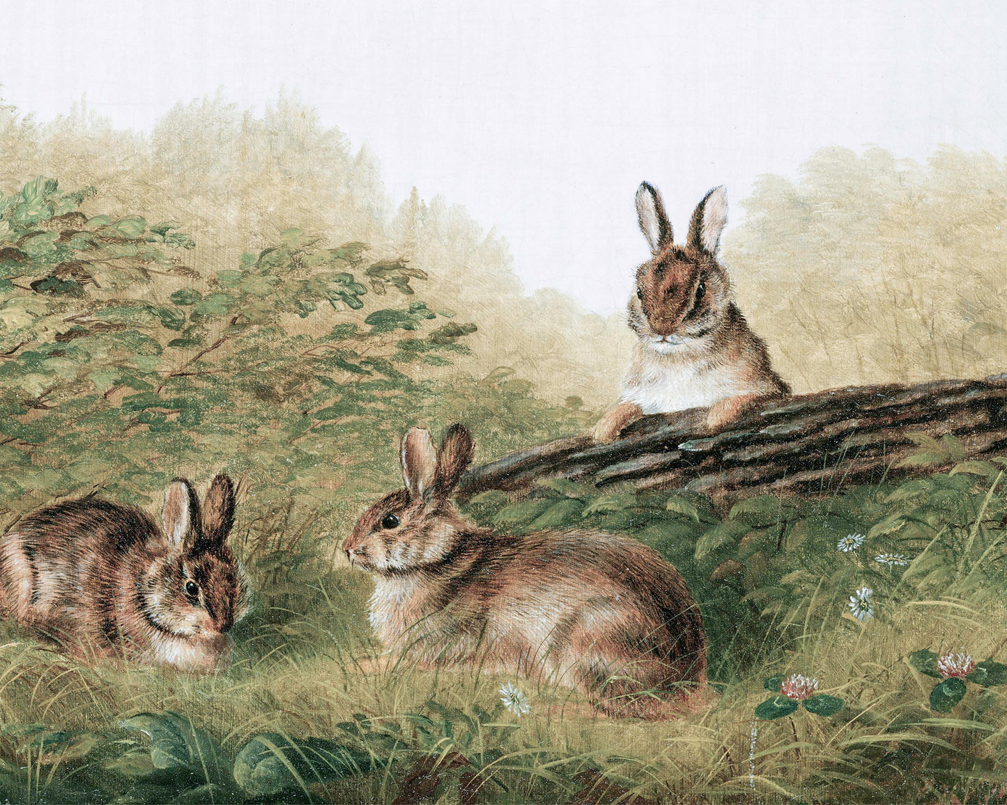 VINTAGE RABBITS I